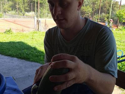 Grah i tikvice