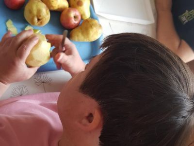 VOĆNI DAN….ali sa saftićem!