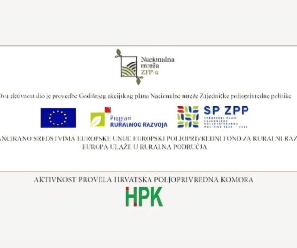 INKLUZIJA je društvo!