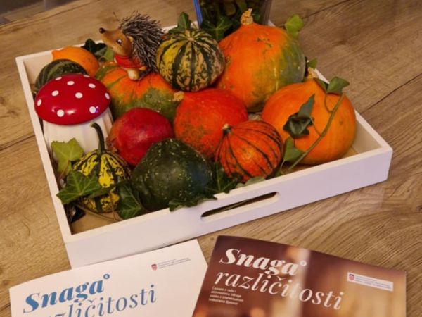 Snaga različitosti - časopis o aktivnostima Udruge OSIT Bjelovar 7 - 8